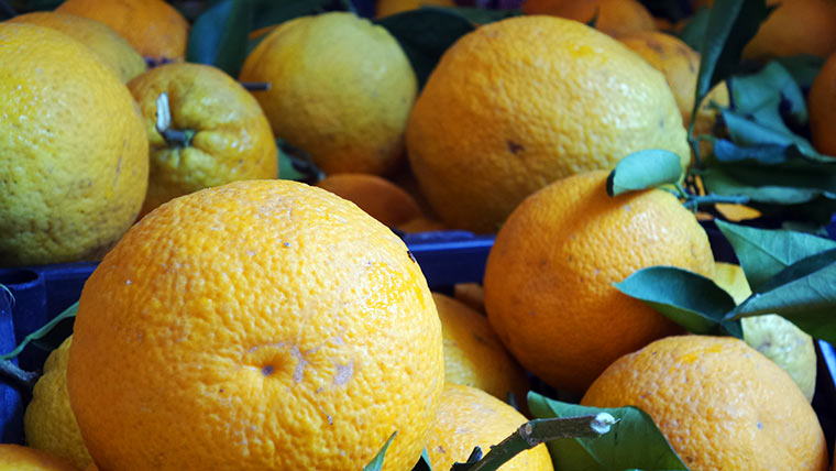 Aktuelle Smartphone-Bilder von mir galaxy-kzoom_17 