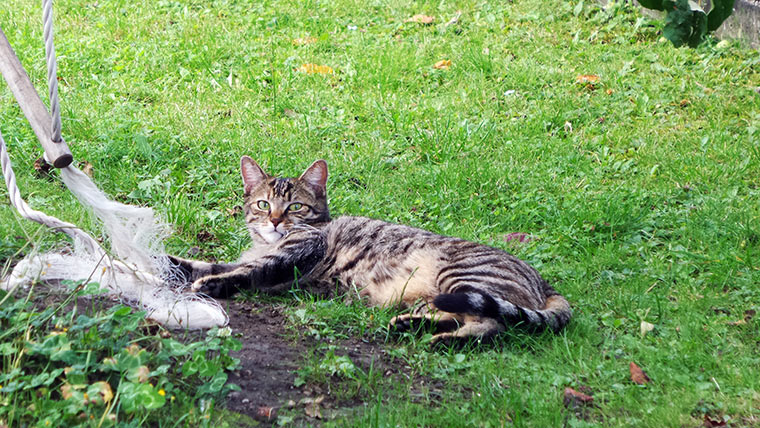 Aktuelle Smartphone-Bilder von mir galaxy-kzoom_28 