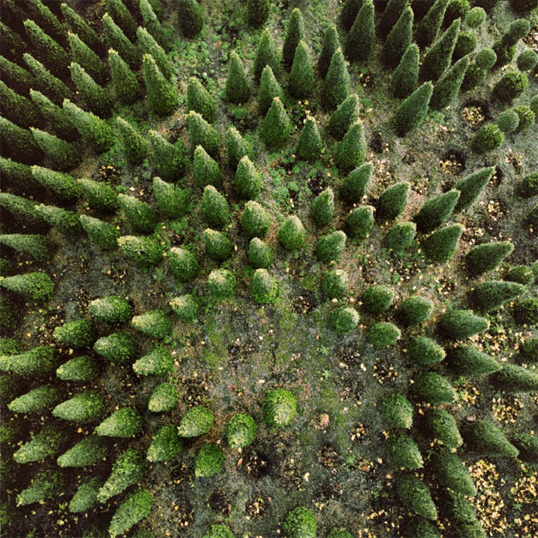 Fotografie: Kite Perspectives kite_perspective_01 