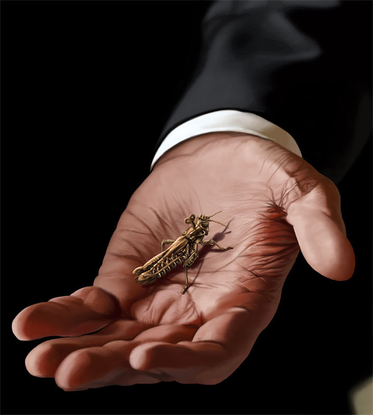 Illustration: Terribilus Terribilus_10 