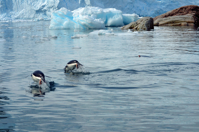 Das antarktische Eis. Und Pinguine. Antarctica_ice_08 