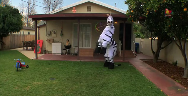 Das tanzende Zebra Dancin_zebra 