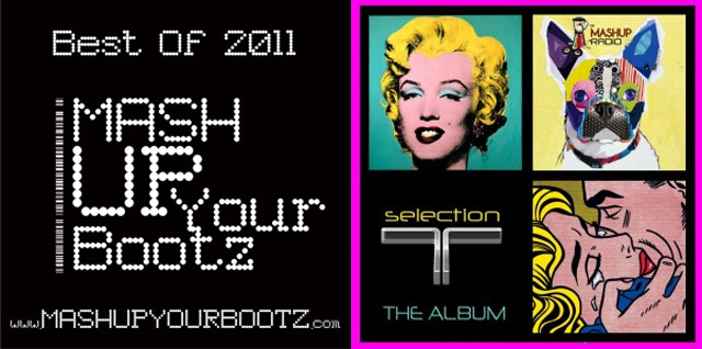 Mashup-Sampler: T Selection & Mash-Up Your Bootz 2011 mashup_2011_alben 