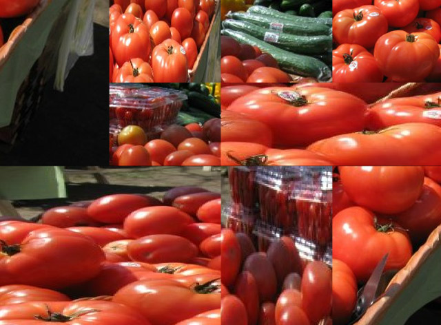 Puzzlen unter skalierten Bedingungen not_to_scale_game