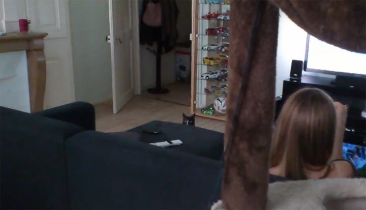 Teleporterkatze teleporter_cat 