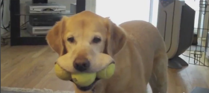 Win-Compilations: Februar 2012 win_compilation_february_2012 