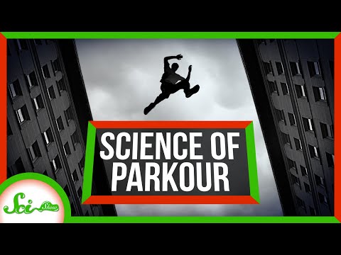 The Science of Parkour lyteCache.php?origThumbUrl=https%3A%2F%2Fi.ytimg.com%2Fvi%2F-UmH-PQ_O2U%2Fhqdefault 