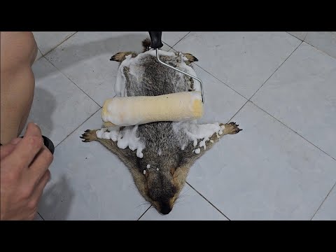 Fluff der Woche (109) lyteCache.php?origThumbUrl=https%3A%2F%2Fi.ytimg.com%2Fvi%2F-VSi_VAK8Ek%2F0 