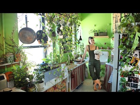 Ein New Yorker Appartment wird zum Dschungel lyteCache.php?origThumbUrl=https%3A%2F%2Fi.ytimg.com%2Fvi%2F0NwD7VjxZ_A%2Fhqdefault 