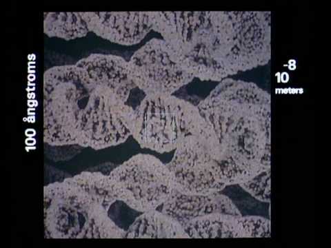 Dieser Film zoomt alle 10 Sekunden das Zehnfache raus lyteCache.php?origThumbUrl=https%3A%2F%2Fi.ytimg.com%2Fvi%2F0fKBhvDjuy0%2Fhqdefault 