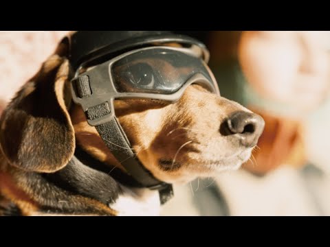 Van Holzen - "Gedanken neu" (Musikvideo) lyteCache.php?origThumbUrl=https%3A%2F%2Fi.ytimg.com%2Fvi%2F2Cvar5Rxjio%2Fhqdefault 