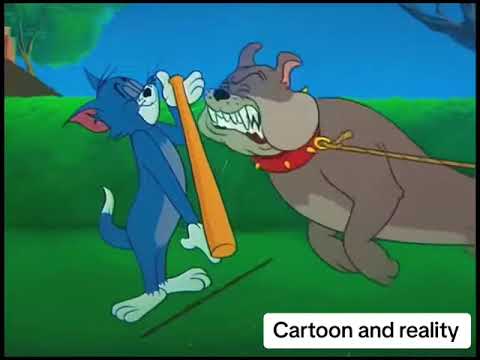 Fluff der Woche (71) lyteCache.php?origThumbUrl=https%3A%2F%2Fi.ytimg.com%2Fvi%2F3_3bQbkDVbk%2F0 