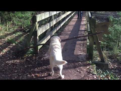 Montagsgefühle lyteCache.php?origThumbUrl=https%3A%2F%2Fi.ytimg.com%2Fvi%2F4RWJTRyjGYk%2Fhqdefault 