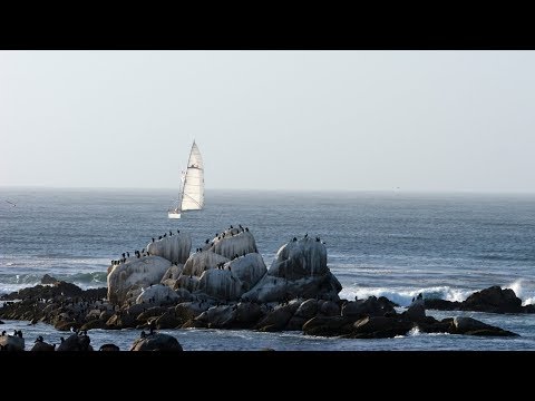 Pinguine, Otter und Co. live per Webcam-Stream sehen lyteCache.php?origThumbUrl=https%3A%2F%2Fi.ytimg.com%2Fvi%2F5JjGc5fN1K0%2Fhqdefault_live 