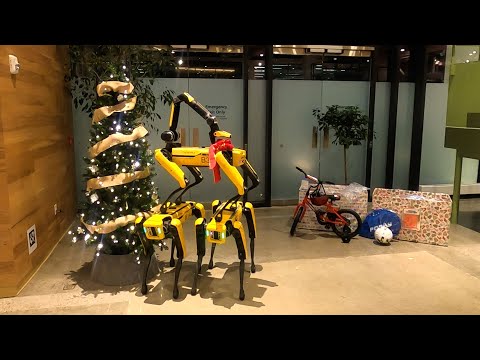 Weihnachtsbaum-schmückender Roboterhund lyteCache.php?origThumbUrl=https%3A%2F%2Fi.ytimg.com%2Fvi%2F7Wm6vy7yBNA%2Fhqdefault 