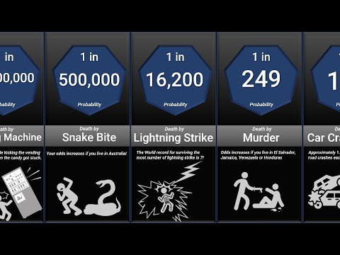 So wahrscheinlich ist es, durch eine Bananenschale zu sterben lyteCache.php?origThumbUrl=https%3A%2F%2Fi.ytimg.com%2Fvi%2F7yPDE7XuBTs%2F0 