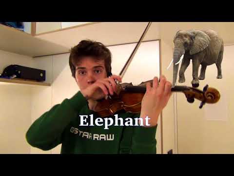 Tiergeräusche auf der Violine nachgespielt lyteCache.php?origThumbUrl=https%3A%2F%2Fi.ytimg.com%2Fvi%2F7zLzYiw1wdQ%2Fhqdefault 