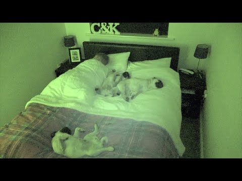 Fluff der Woche (112) lyteCache.php?origThumbUrl=https%3A%2F%2Fi.ytimg.com%2Fvi%2F8zYgQrkaFdI%2F0 