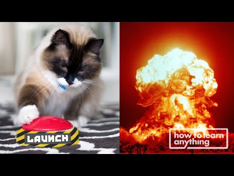 Einer Katze antrainieren, auf Kommando eine Rakete abzufeuern lyteCache.php?origThumbUrl=https%3A%2F%2Fi.ytimg.com%2Fvi%2F92pgF4vJEwI%2Fhqdefault 