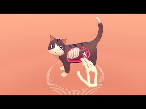 Virtuelle Sezierung einer digitalen Katze lyteCache.php?origThumbUrl=https%3A%2F%2Fi.ytimg.com%2Fvi%2F9KCA44GZRQg%2Fhqdefault 