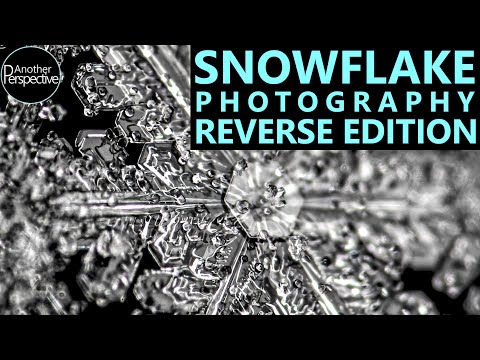 Nahaufnahme einer rückwärts schmelzenden Schneeflocke lyteCache.php?origThumbUrl=https%3A%2F%2Fi.ytimg.com%2Fvi%2FAzQwVM2vr7E%2Fhqdefault 