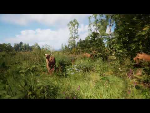 Neue Unreal-Engine-Grafik-Demo: Superrealistischer CGI-Wald lyteCache.php?origThumbUrl=https%3A%2F%2Fi.ytimg.com%2Fvi%2FCM1VF5nZixM%2Fhqdefault 