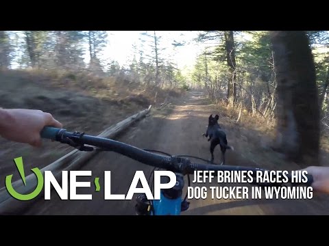 Downhill: Hund vs. Mountainbike lyteCache.php?origThumbUrl=https%3A%2F%2Fi.ytimg.com%2Fvi%2FCd8Os7Li8N8%2Fhqdefault 