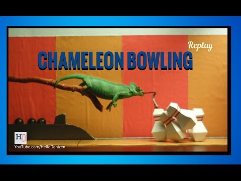 Chameleon Bowling lyteCache.php?origThumbUrl=https%3A%2F%2Fi.ytimg.com%2Fvi%2FCpjQScQDrwM%2Fhqdefault 