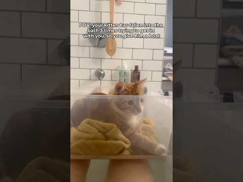 Fluff der Woche (74) lyteCache.php?origThumbUrl=https%3A%2F%2Fi.ytimg.com%2Fvi%2FDg6Nemmi1Zw%2F0 