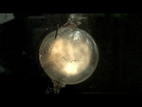 Unterwasser-Explosionen in 120.000 FpS lyteCache.php?origThumbUrl=https%3A%2F%2Fi.ytimg.com%2Fvi%2FE5rGFZWQfzk%2Fhqdefault 