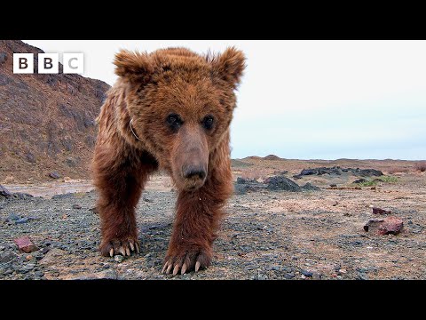 Fluff der Woche (73) lyteCache.php?origThumbUrl=https%3A%2F%2Fi.ytimg.com%2Fvi%2FFmhJUjgzu6k%2F0 