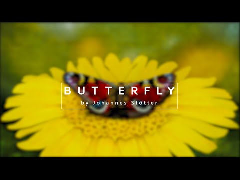 Schmetterlings-Bodypainting-Illusion lyteCache.php?origThumbUrl=https%3A%2F%2Fi.ytimg.com%2Fvi%2FGA_V7oKMyTI%2Fhqdefault 