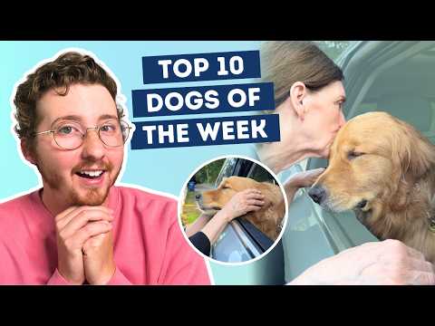 Fluff der Woche (109) lyteCache.php?origThumbUrl=https%3A%2F%2Fi.ytimg.com%2Fvi%2FHsn4LLAEvFc%2F0 