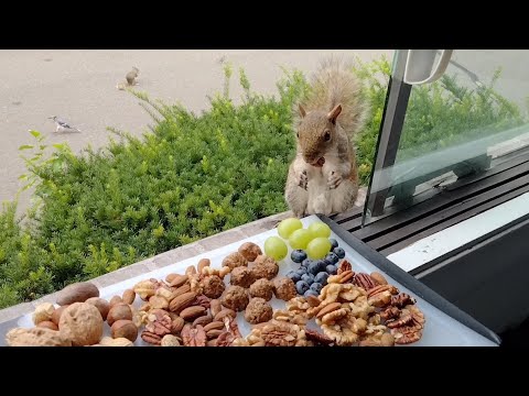 Fluff der Woche (5) lyteCache.php?origThumbUrl=https%3A%2F%2Fi.ytimg.com%2Fvi%2FInMCvNr2XvI%2Fhqdefault 