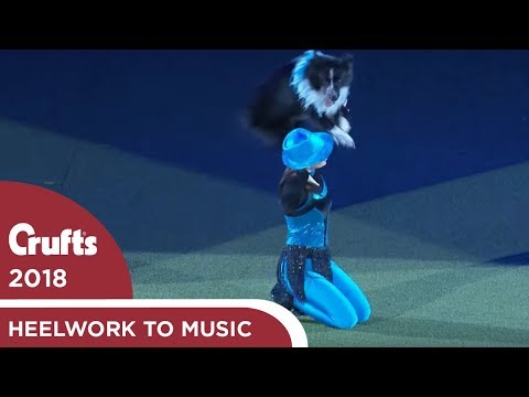 Beeindruckende Tanz-Choreografie mit Hund lyteCache.php?origThumbUrl=https%3A%2F%2Fi.ytimg.com%2Fvi%2FJ5vwAox7Y4c%2Fhqdefault 