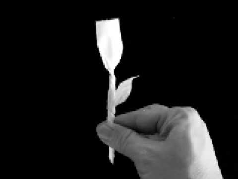 Klopapierorigami lyteCache.php?origThumbUrl=https%3A%2F%2Fi.ytimg.com%2Fvi%2FJY5gnBuE5E8%2Fhqdefault 
