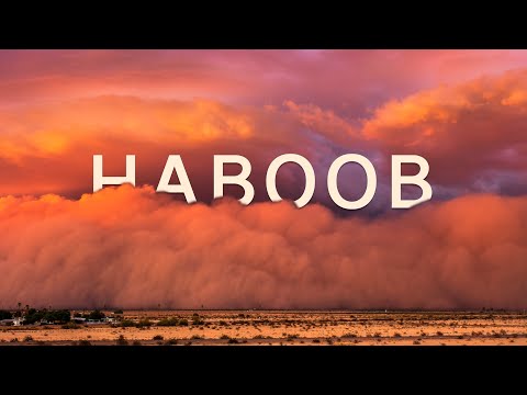 Staubwolken-Timelapse: "Haboob: A Decade of Dust" lyteCache.php?origThumbUrl=https%3A%2F%2Fi.ytimg.com%2Fvi%2FJkDBmsGIG7U%2Fhqdefault 