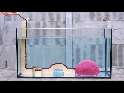 Unterwasser-Streichholz-Kettenreaktion lyteCache.php?origThumbUrl=https%3A%2F%2Fi.ytimg.com%2Fvi%2FKEY4TrgTwNc%2Fhqdefault 
