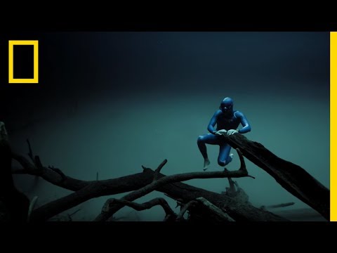 Tief unter Wasser mit Free Diver Guillaume Néry lyteCache.php?origThumbUrl=https%3A%2F%2Fi.ytimg.com%2Fvi%2FL4qM1IEhtNQ%2Fhqdefault 