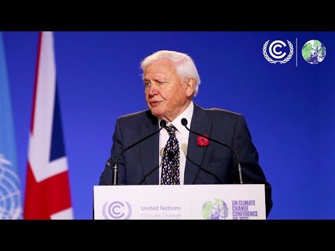 David Attenborough Eröffnungsrede bei der Weltklimakonferenz 2021 lyteCache.php?origThumbUrl=https%3A%2F%2Fi.ytimg.com%2Fvi%2FMTkm19hvHio%2Fhqdefault 