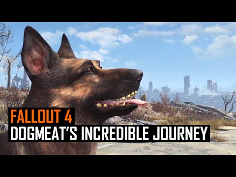 Das macht der Hund in Fallout 4, wenn man ihn heim schickt lyteCache.php?origThumbUrl=https%3A%2F%2Fi.ytimg.com%2Fvi%2FMZYaYWv-JHc%2Fhqdefault 