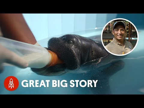 Fluff der Woche (113) lyteCache.php?origThumbUrl=https%3A%2F%2Fi.ytimg.com%2Fvi%2FMz0n7GZxXhI%2Fhqdefault 