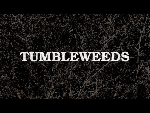 Supercut: Tumbleweeds in Film & Fernsehen lyteCache.php?origThumbUrl=https%3A%2F%2Fi.ytimg.com%2Fvi%2FN7xPxKbxWDQ%2Fhqdefault 