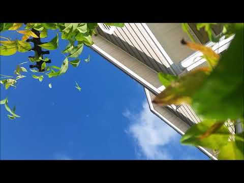 Smartphone fällt aus Flugzeug und filmt weiter lyteCache.php?origThumbUrl=https%3A%2F%2Fi.ytimg.com%2Fvi%2FNqU1spidtiU%2Fhqdefault 