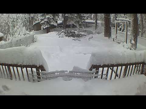 Timelapse: Wie ein Garten nach und nach im Schnee versinkt lyteCache.php?origThumbUrl=https%3A%2F%2Fi.ytimg.com%2Fvi%2FOHKXB2E86zg%2Fhqdefault 