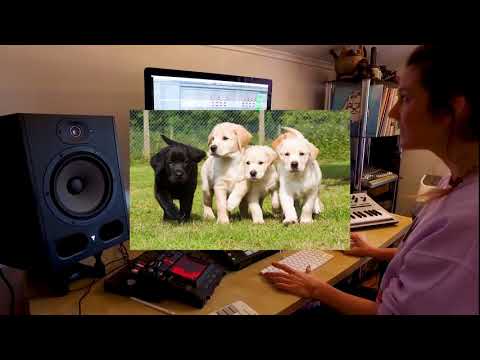 4 MusikproduzentInnen 1 Sample lyteCache.php?origThumbUrl=https%3A%2F%2Fi.ytimg.com%2Fvi%2FOg8undWIePI%2Fhqdefault 