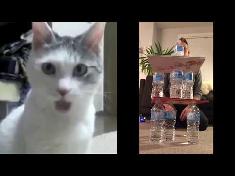 Lehrer verbot Bottle-Flipping und überrascht mit eigenen Tricks lyteCache.php?origThumbUrl=https%3A%2F%2Fi.ytimg.com%2Fvi%2FOjLVDNFGH7g%2Fhqdefault 