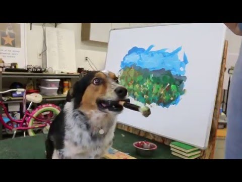Jumpy der Hund malt gerne impressionistisch lyteCache.php?origThumbUrl=https%3A%2F%2Fi.ytimg.com%2Fvi%2FPiF_pmLCtQM%2Fhqdefault 