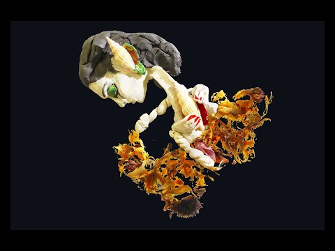 Neue kreative Musikvideos (87) lyteCache.php?origThumbUrl=https%3A%2F%2Fi.ytimg.com%2Fvi%2FQAY3mgFyZcY%2Fhqdefault 