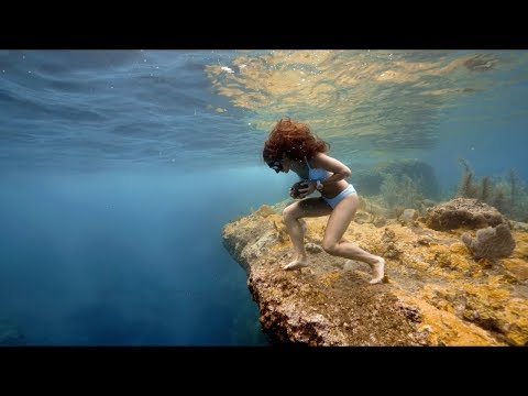 Krasser Unterwasserlauf mit Stein in der Hand lyteCache.php?origThumbUrl=https%3A%2F%2Fi.ytimg.com%2Fvi%2FSrZRMoi-yO4%2Fhqdefault 